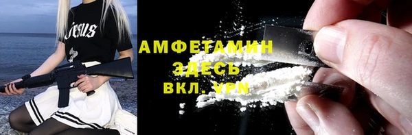 стаф Алзамай