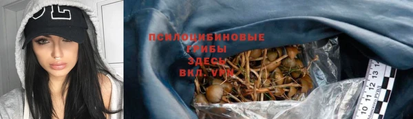 2c-b Алексеевка