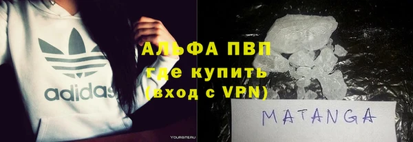 стаф Алзамай