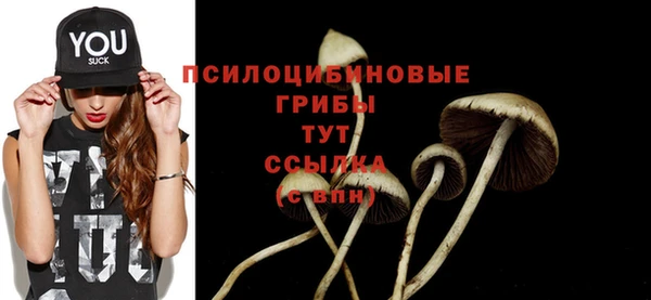 спиды Алексин