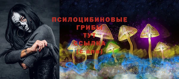 2c-b Алексеевка