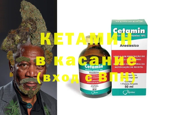 стаф Алзамай