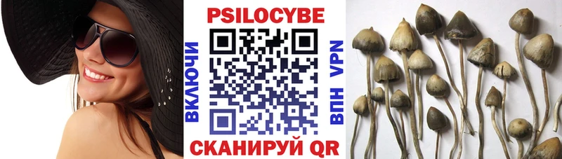 Псилоцибиновые грибы GOLDEN TEACHER  Данков 